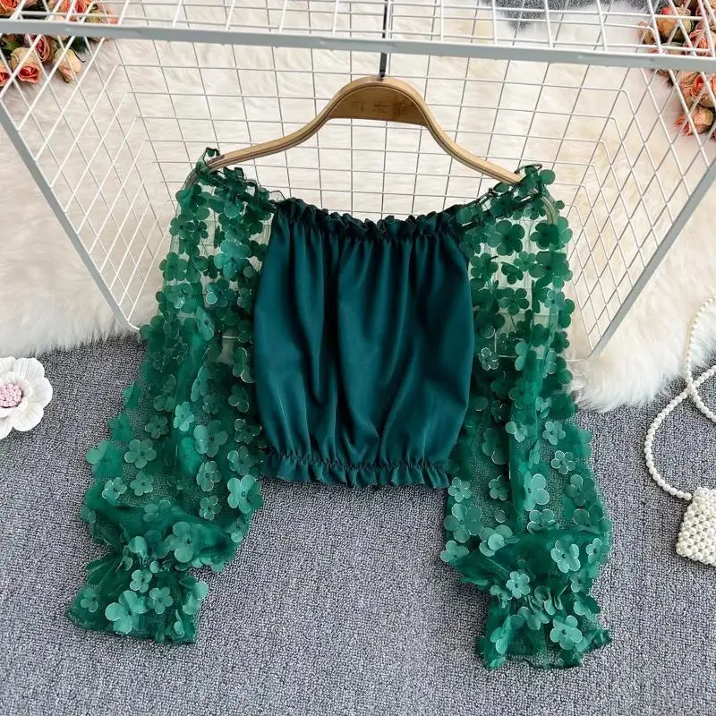 Trendy Floral Mesh Sheer Long Sleeve Crop Lace Blouse